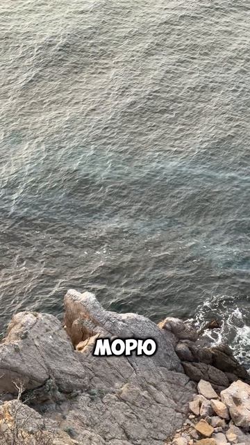 Что с морем в Крыму? Нашествие медуз осенью и весной это нормально для Крыма! #крым #море #медузы смотреть онлайн