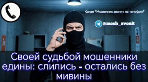 Своей судьбой мошенники едины: слились - остались без мивины