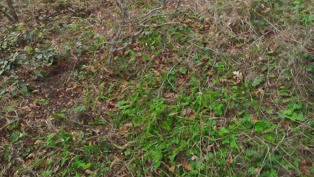 Катаем ущелье 3