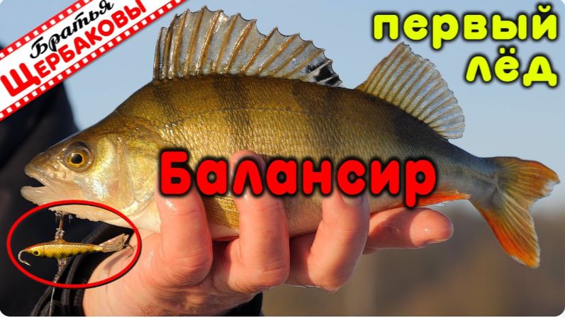 Ловля на БАЛАНСИРЫ. Первый ЛЁД! смотреть онлайн