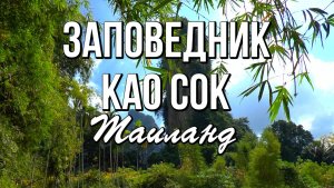 Заповедник Као Сок и озеро Чео Лан, Таиланд