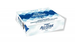 SeReal Карточки КХЛ 2024-2025. НЗХ Retail #3