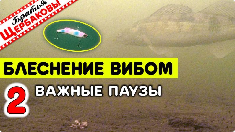 Советы для начинающих Ловля на ВИБЫ с классическими ПОДБРОСАМИ. Как определять ВЕЛИЧИНУ ПАУЗ смотреть онлайн