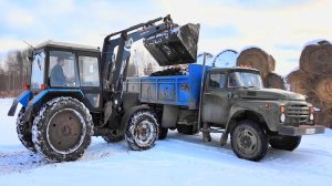 Навоз прилип, лопата в руки! Трудности зимней доставки навоза на ЗиЛе!