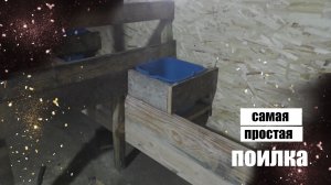 Телята на откорм и новые поилки