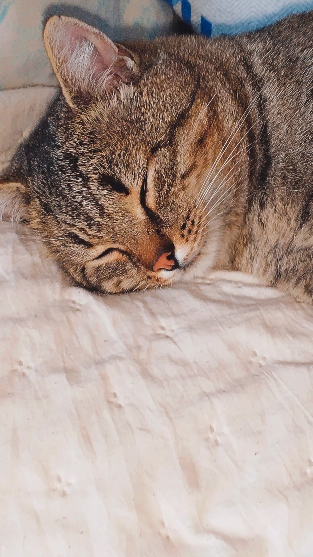 А мне, надо!? Там, -32'!🙀 смотреть онлайн