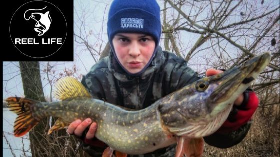 Рыбалка одной поклёвки | Ловля щуки на спиннинг| На Москва-реке