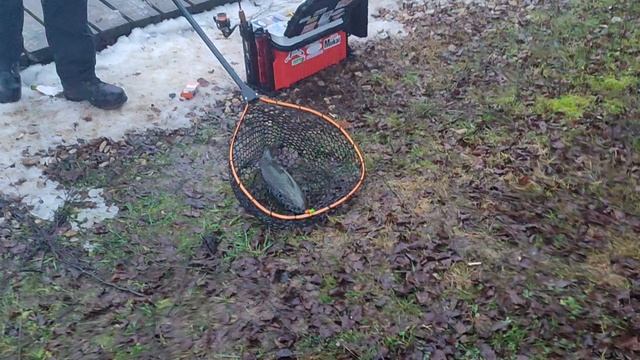 Основной водоём. На резину. смотреть онлайн