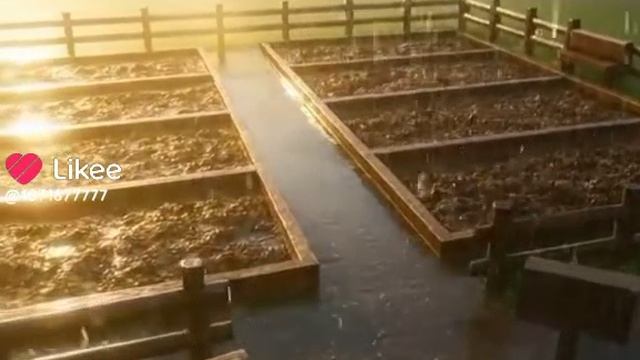 вырасти сад с графиком смотреть онлайн