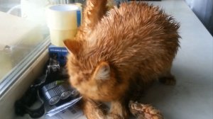 Из-под дождя. Часть 2