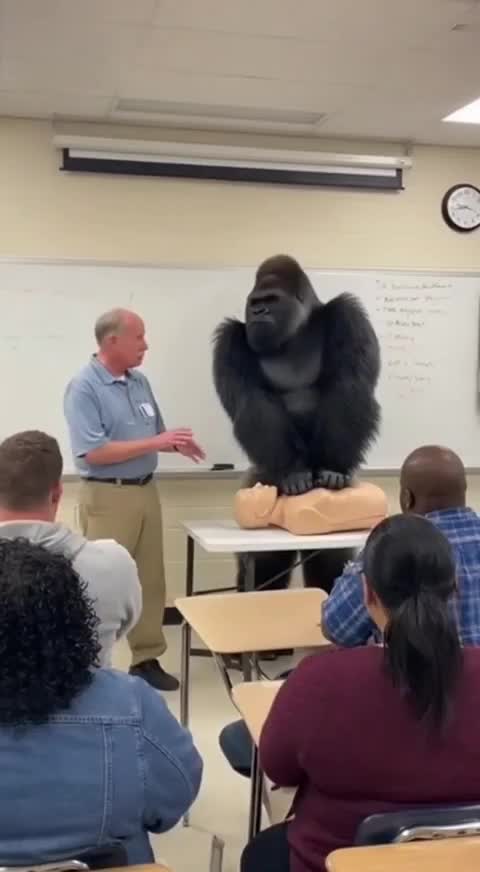 Кода привёл не того родителя 🤣🤣 смотреть онлайн