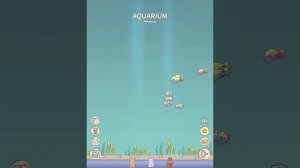 Я играю в кошки и суп