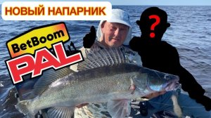 НОВЫЙ НАПАРНИК PAL 2026!!!