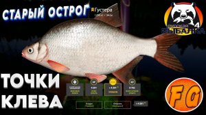 Точки ловли трофейной Густеры и Угря на Старом Остроге. Russian Fishing 4. рр4