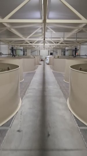 Ульяновск 2025