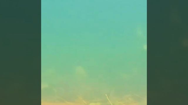 Березовый берег смотреть онлайн