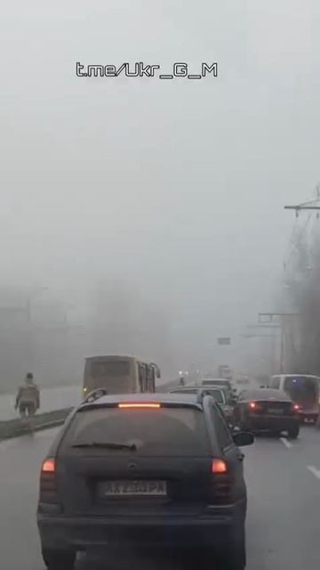 троллейбусы не ездят но ездят тцкашники смотреть онлайн