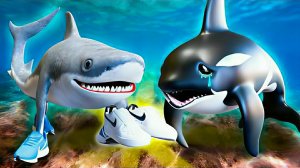 Как появился Оркалеро Оркала. История происхождения Оркалело Оркала