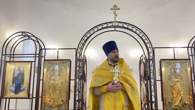 Проповедь в неделю 25-ю по Пятидесятнице .(30.11.2025).Протоиерей  Димитрий Нестеренко.