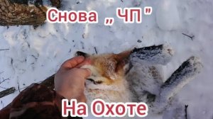 каннибалы ещё есть , они её сожрали за считанные минуты