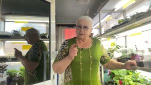 🏡 Vlog из светёлки. Про всё по немножку..