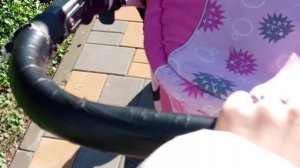 прогулка с реборном