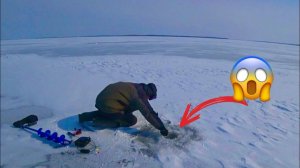 ЭТО ЧТО ВООБЩЕ ??? ВПЕРВЫЕ ТАКОЕ ВИЖУ НА РЫБАЛКЕ рыбалка