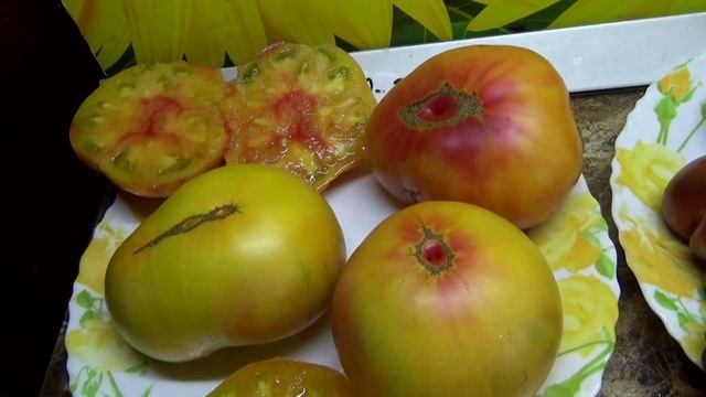 Мой ЛЮБИМЧИК среди Томатных Гномов - Розелла би-колор. №900-26. Кому она понравится смотреть онлайн