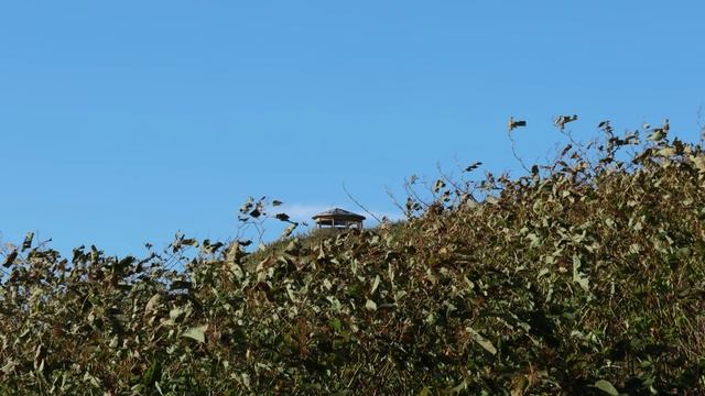 Сахалин Историческое наследие