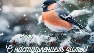 Зимний приветик! С 1 декабря. Великолепная музыкальная открытка. смотреть онлайн