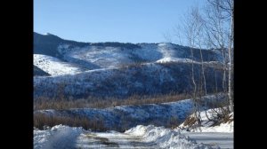 Лес, река и я