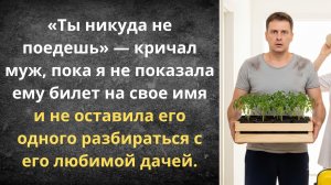 Муж на грядки, я — на море | Истории из жизни