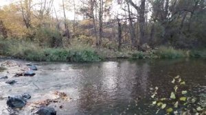 Речка осенью