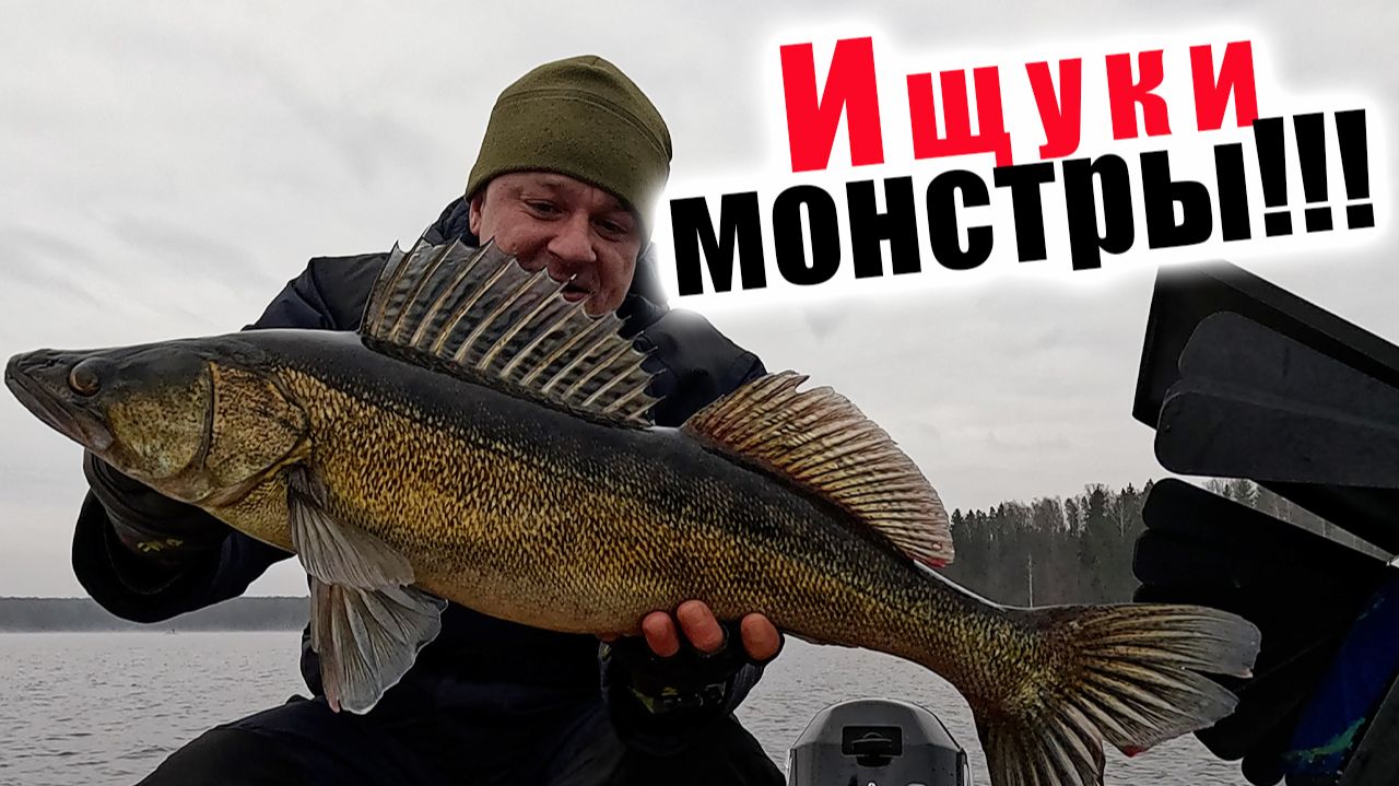 ЗА ДЕНЬ ДО ЗИМЫ!! СТОЛЬКО ЩУКИ Я ЕЩЁ НЕ ВИДЕЛ!!! Ronin Rush SONIC INSURGENT (802H) 14-50гр. смотреть онлайн