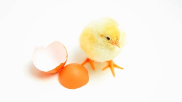 Дизайн без названия (29) смотреть онлайн