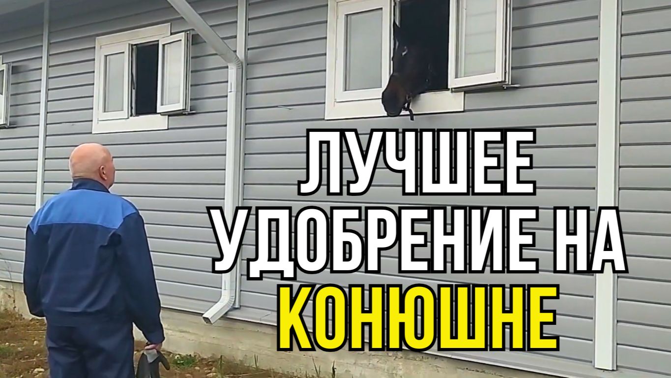 Нашли Лучшее удобрение для сада и огорода на конюшне смотреть онлайн