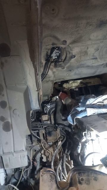 Прокачка гидрокулисы автомобиля Man.