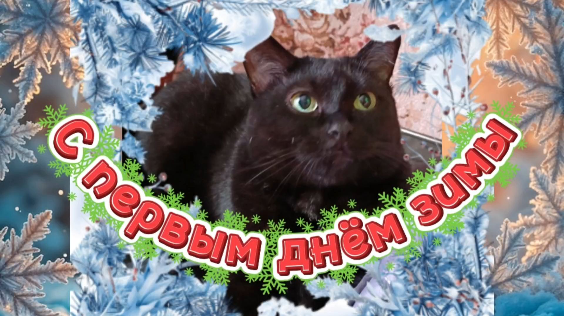 С ПЕРВЫМ ДНЁМ ЗИМЫ! смотреть онлайн