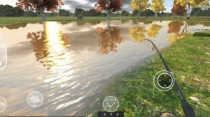 СОСНОВОЕ ОЗЕРО