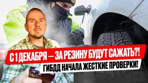 ПДД ужесточили! Зимние шины обязательны — когда запрещено ездить и чем грозит нарушение?