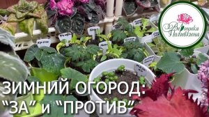 ЗИМНИЙ ОГОРОД:  ЗА И ПРОТИВ