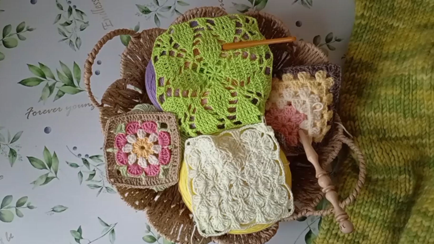 СП Пледомания 3, заключительное видео смотреть онлайн