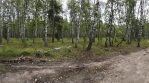 Мотопутешествие на Royal Enfield Super Meteor 650. Городец - Муром - Рязань. Дни 3 и 4