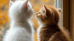 Доброе Утречко Позитива и Добра! Замечательного Дня!