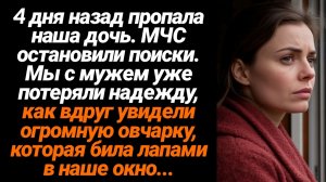 Жизненные Истории/4 дня назад пропала наша дочь, мы с мужем уже потеряли надежду, как вдруг увидели