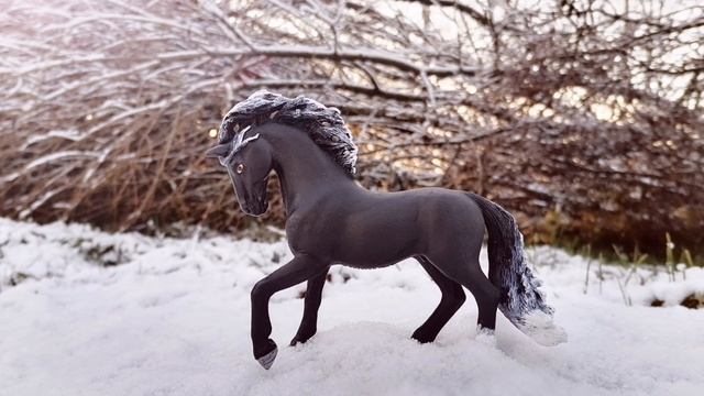 Зимний фотосет.