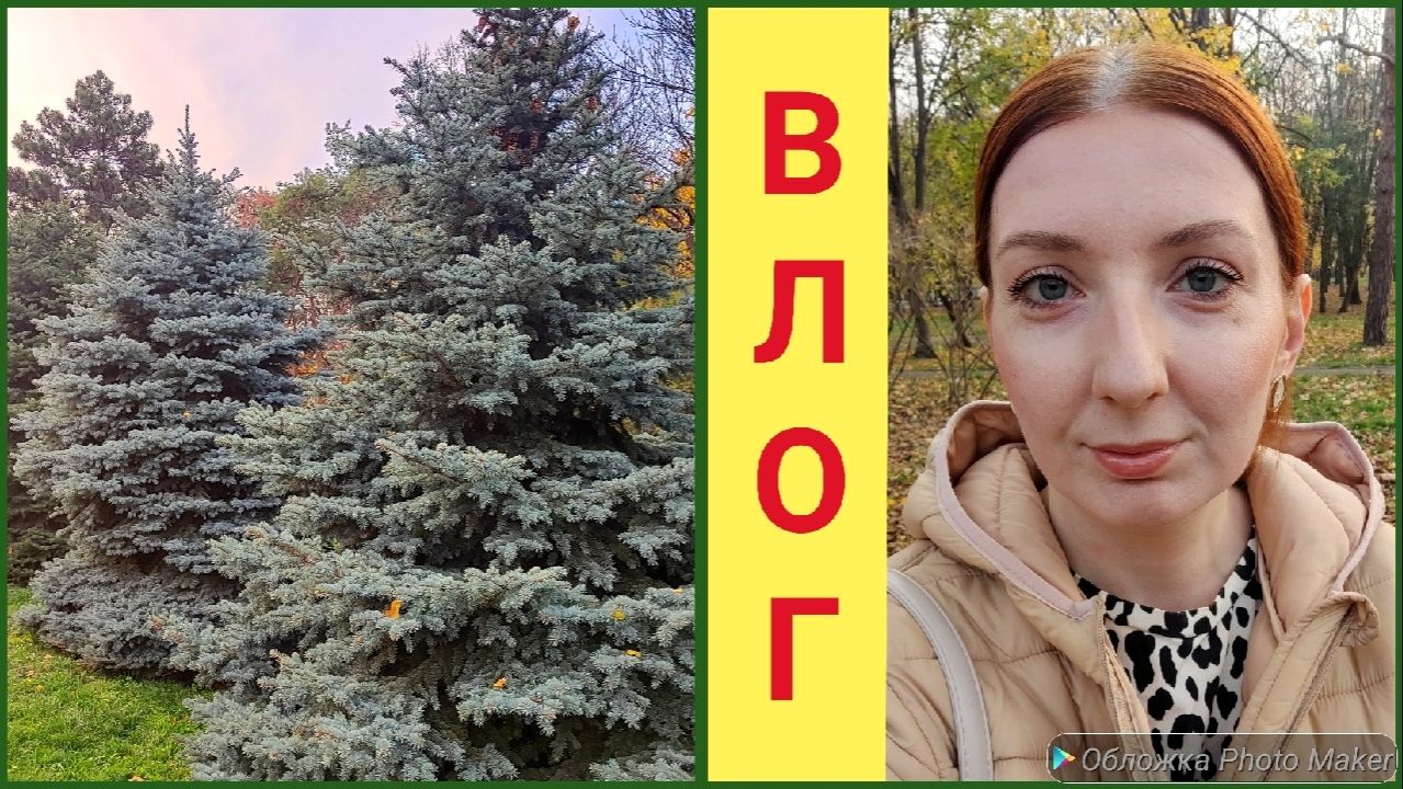 Влог / вкусный салатик/парк смотреть онлайн