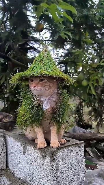 как говорил мой дед смотреть онлайн