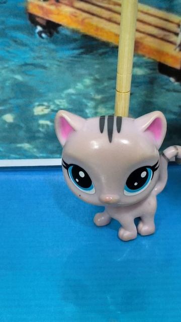 5 ведёт: новости канала!