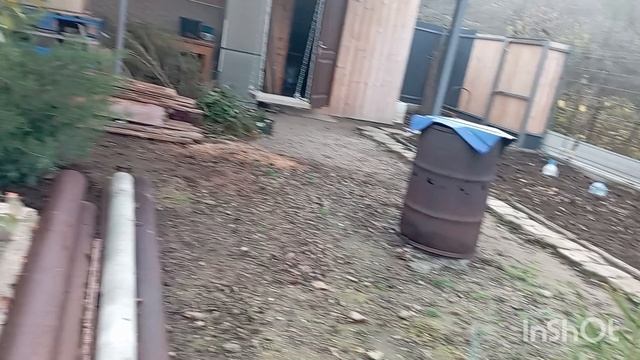 ✅Четвëртый день на даче: пора ехать домой.29.11.25. смотреть онлайн
